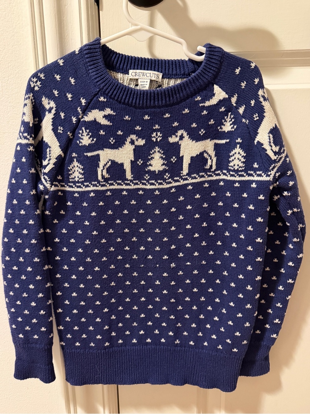Crewcuts Holiday Sweater